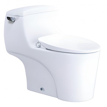 Bồn Cầu Nắp Rửa Cơ Caesar C1353F/TAF060 1 Khối