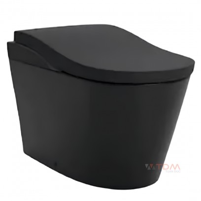 Bồn Cầu Thông Minh TOTO CS911MBZT#MBL+TCF87820GAA#MBL+T53P100VR Đen NEOREST LS