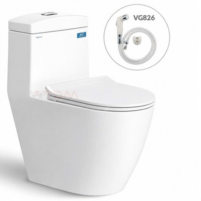 Bồn Cầu Viglacera V199 Nắp Êm V86 + Vòi Xịt VG826