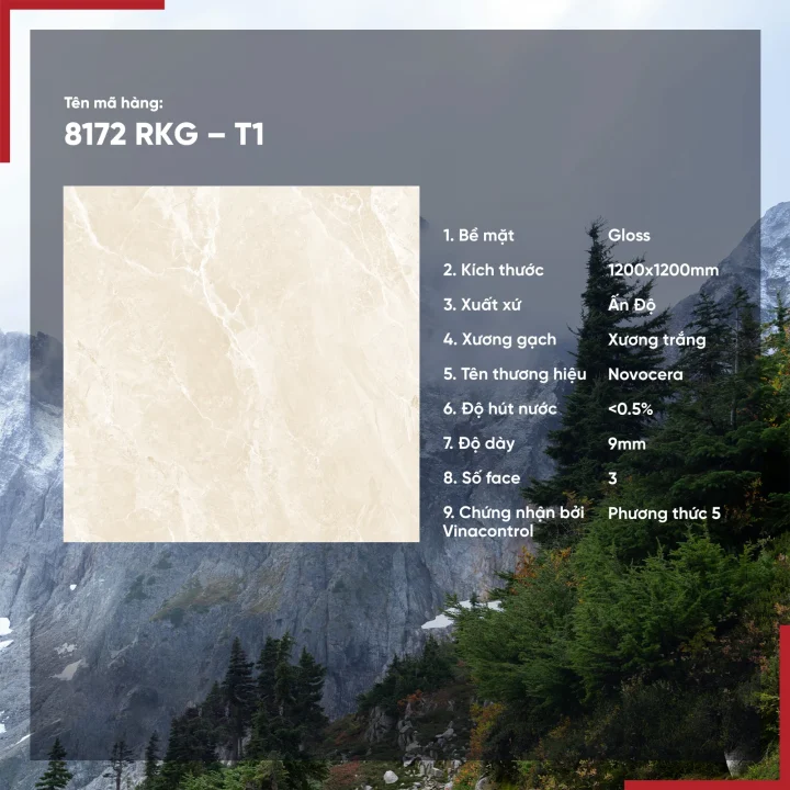 Gạch 8172 RKG T1 1200x1200 bóng kính