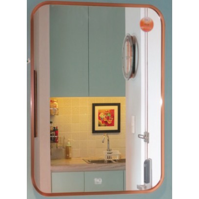 Gương Đình Quốc ĐQ 7772 450 x 600 mm Viền Nhôm