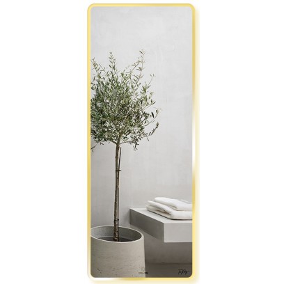 Gương Soi Toàn Thân GLS VF12R70 Dòng F 60x160 cm Viền Nhôm